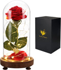 Valentines Day Gifts for Her,Birthday Gifts for Women,Beauty and the Beast Rose in Glass Dome,Silk Rose Forever Flowers with Lights,Mom Gift,Anniversary Flower Gifts for Women Gifts for Girlfriend