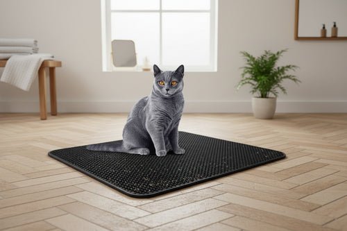 Cat Litter Mat EVA Double Layer Cat Litter Mat Cat Litter Basin Sand Falling Mat Eva Cat Litter Mat Cat Nest Mat Pet Mat